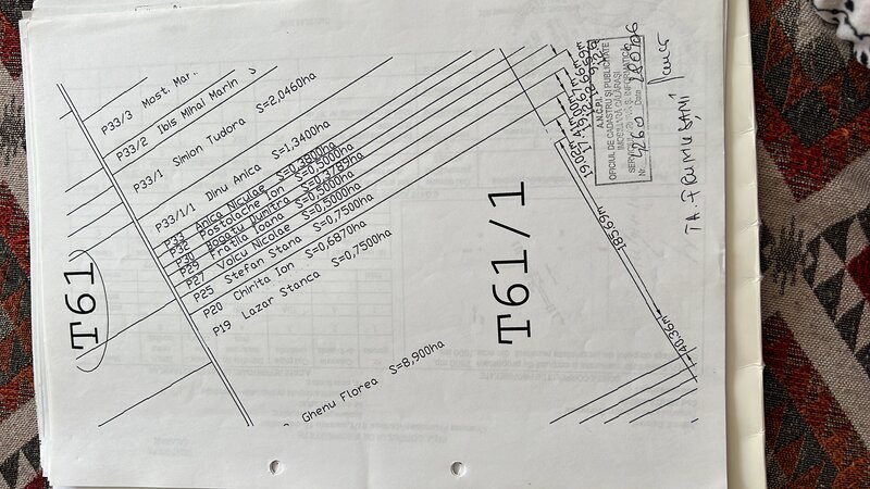 Frumusani, Calarasi, Padurea Filistache